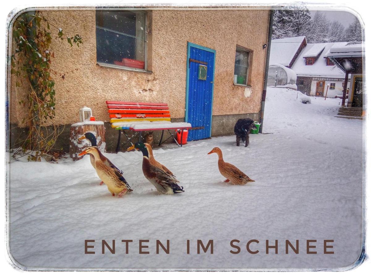 Apartmán Haus Grubbach Spital Am Pyhrn Exteriér fotografie